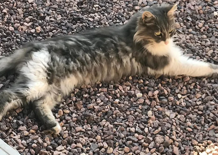 Pensjonat 2 Mai Vila