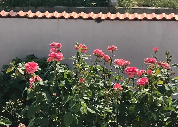 Pensjonat 2 Mai Vila 4*