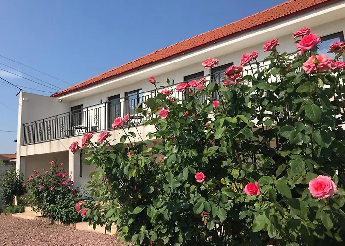 Pensjonat 2 Mai Vila Două Mai