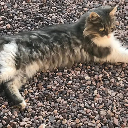 ゲストハウス 2 Mai Vila