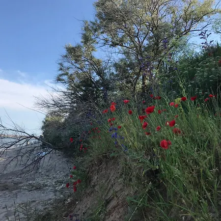 ゲストハウス 2 Mai Vila 3*