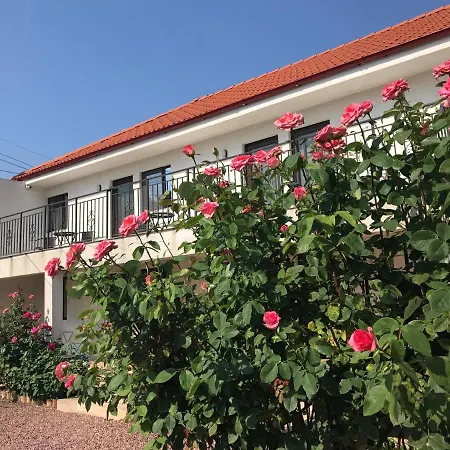 Gæstehus 2 Mai Vila Două Mai