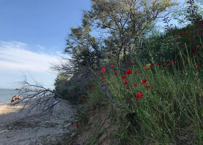 Guest house 2 Mai Vila 3*